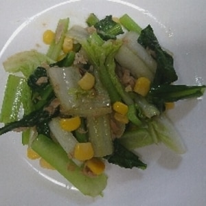 小松菜と白菜のツナ炒め